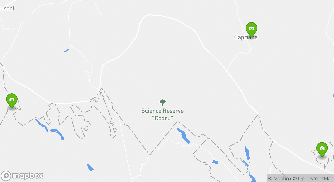 Directions to Attraction